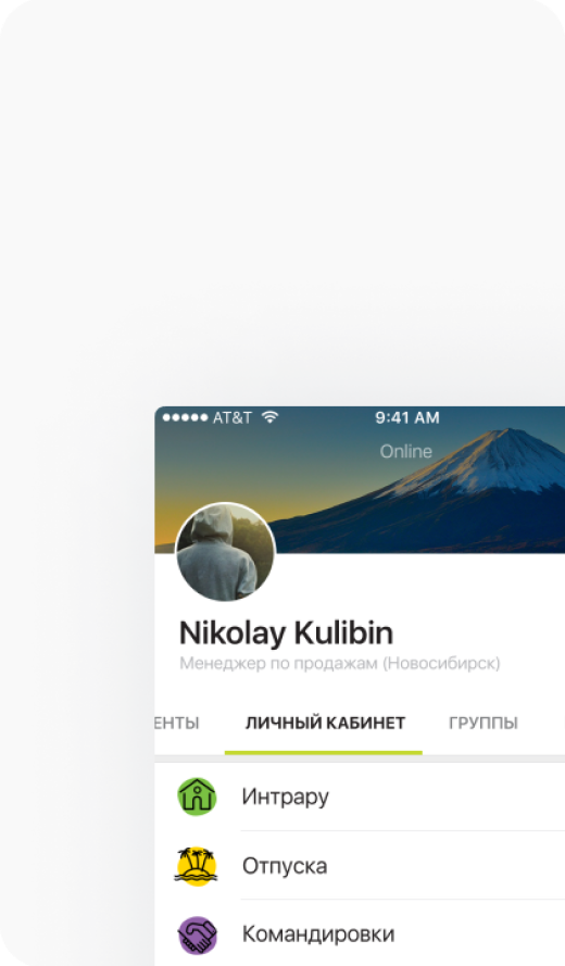 Леруа Мерлен